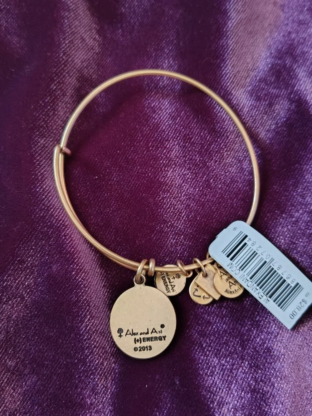 Alex and Ani Celtic Knot Endless Energy Adjustable Bangle Positive Self Love 795